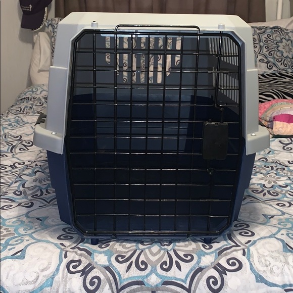 A small/medium dog - Picture 1 of 5